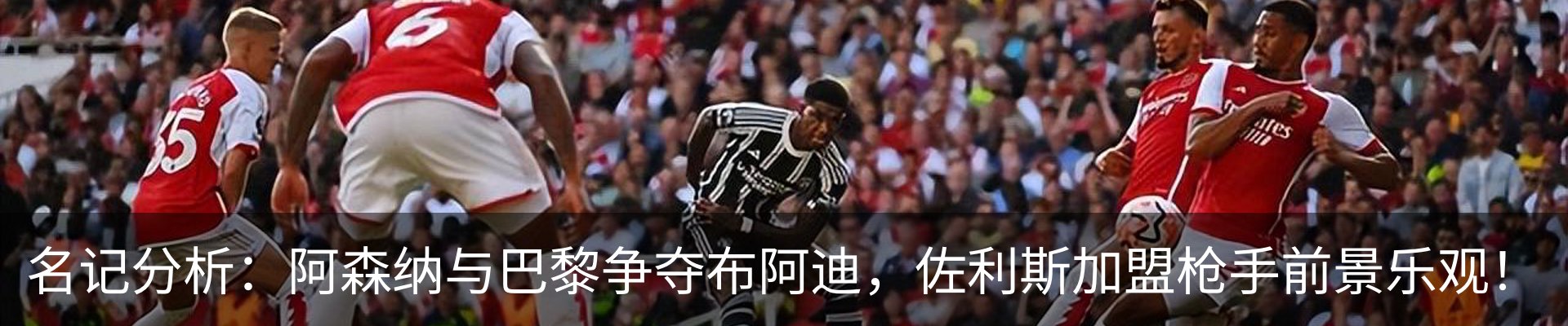 新闻动态