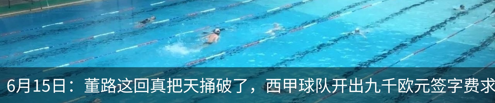 新闻动态